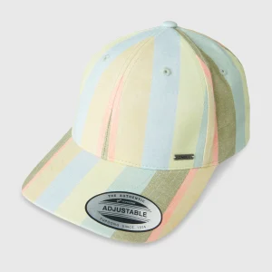 Seacoast pet | Multi Must Haves Stripe