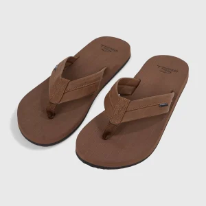 Beach slippers | Falcon