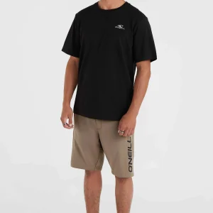 O'Neill Logo sweatshort | Pumpkin Smoke