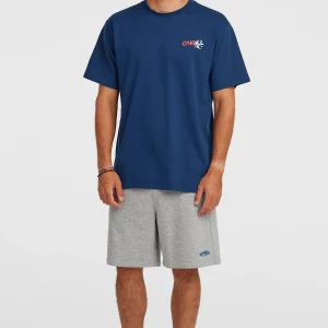 Essentials 90s sweatshort | Silver Melee