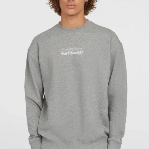 Future Surf Society Crew sweater | Silver Melee