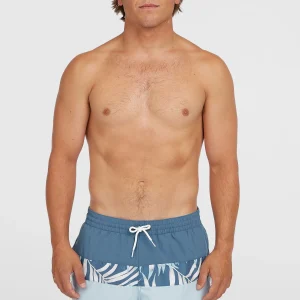 Cali Block 15'' zwembroek | Blue Dipped Leaves