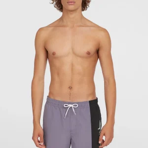 Retro 19'' zwembroek | Storm Colour Block