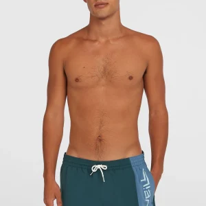 Retro 14'' zwembroek | Alma Steel Colour Block