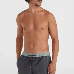 O’Riginals Volley 16'' Swim Shorts | Graphite