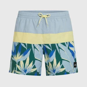 O'Neill Block 15'' zwembroek | Blue Tropicana Big