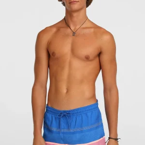 O'Neill Gradient 15'' zwembroek | Blue Gradient Stripe