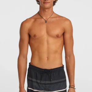 O'Neill Gradient 15'' zwembroek | Black Out Gradient Stripe