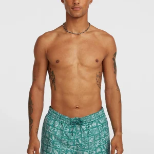 O'Neill Print 16'' zwembroek | Blue Bricks