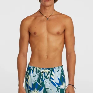 O'Neill Print 16'' zwembroek | Blue Tropicana Big