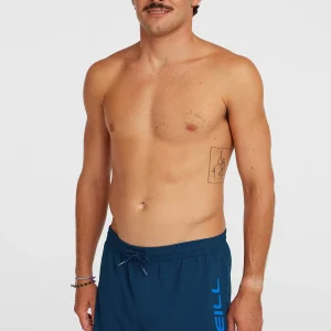 O'Neill Logo 16'' zwembroek | English Evening