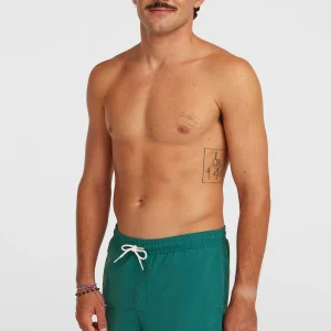O'Neill Vert 16'' zwembroek | Botanical Heat