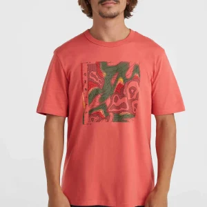 O'Neill TRVLR Series Pacific Polygiene T-shirt | Red Orcher