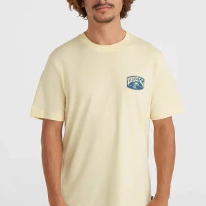 O'Neill Beach Graphic T-shirt | Paris Daisy