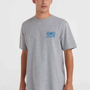 O'Neill Beach Graphic T-shirt | Silver Melee