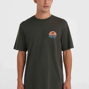 O'Neill Beach Graphic T-shirt | Raven