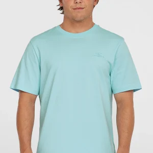 Small Logo T-shirt | Morning Glory