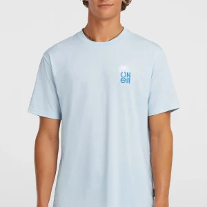 O'Neill Hybrid Polygiene Graphic T-shirt | Spindle
