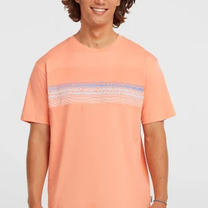 O'Neill Logo Stripe T-shirt | Funky Peach