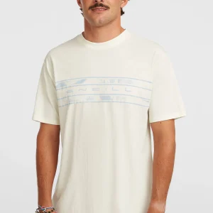 O'Neill Flower Stripe T-shirt | Snow White