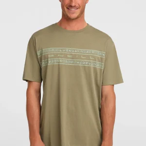O'Neill Flower Stripe T-shirt | Avery Fern
