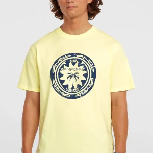 O'Neill Must-Have Graphic T-shirt | Rainforest Dew