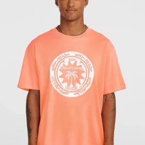 O'Neill Must-Have Graphic T-shirt | Funky Peach