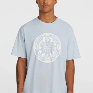 O'Neill Must-Have Graphic T-shirt | Spindle