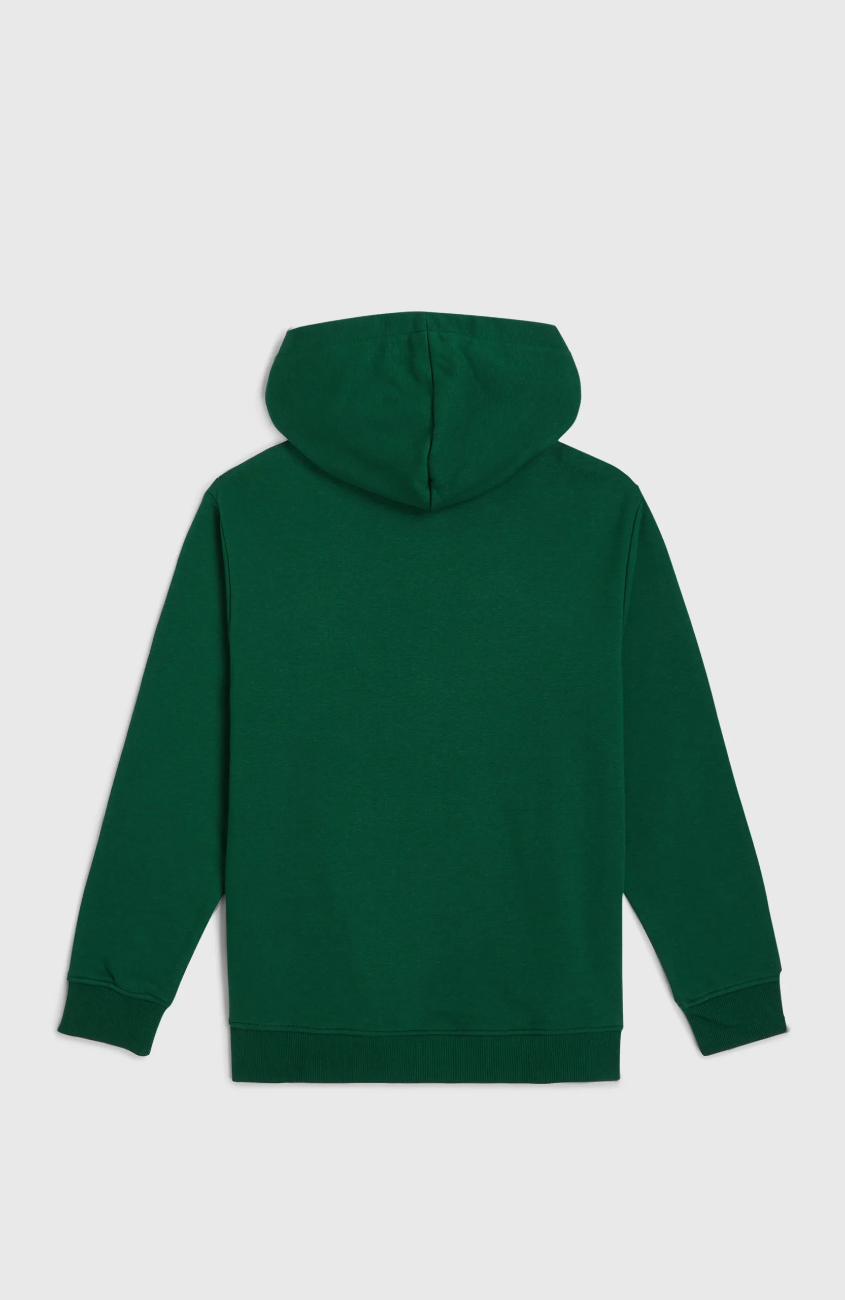 Essentials hoodie | Emerald Envy - Afbeelding 7