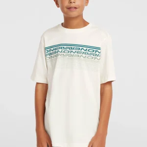 O'Neill Logo Stripe T-shirt | Snow White