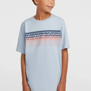 O'Neill Logo Stripe T-shirt | Spindle