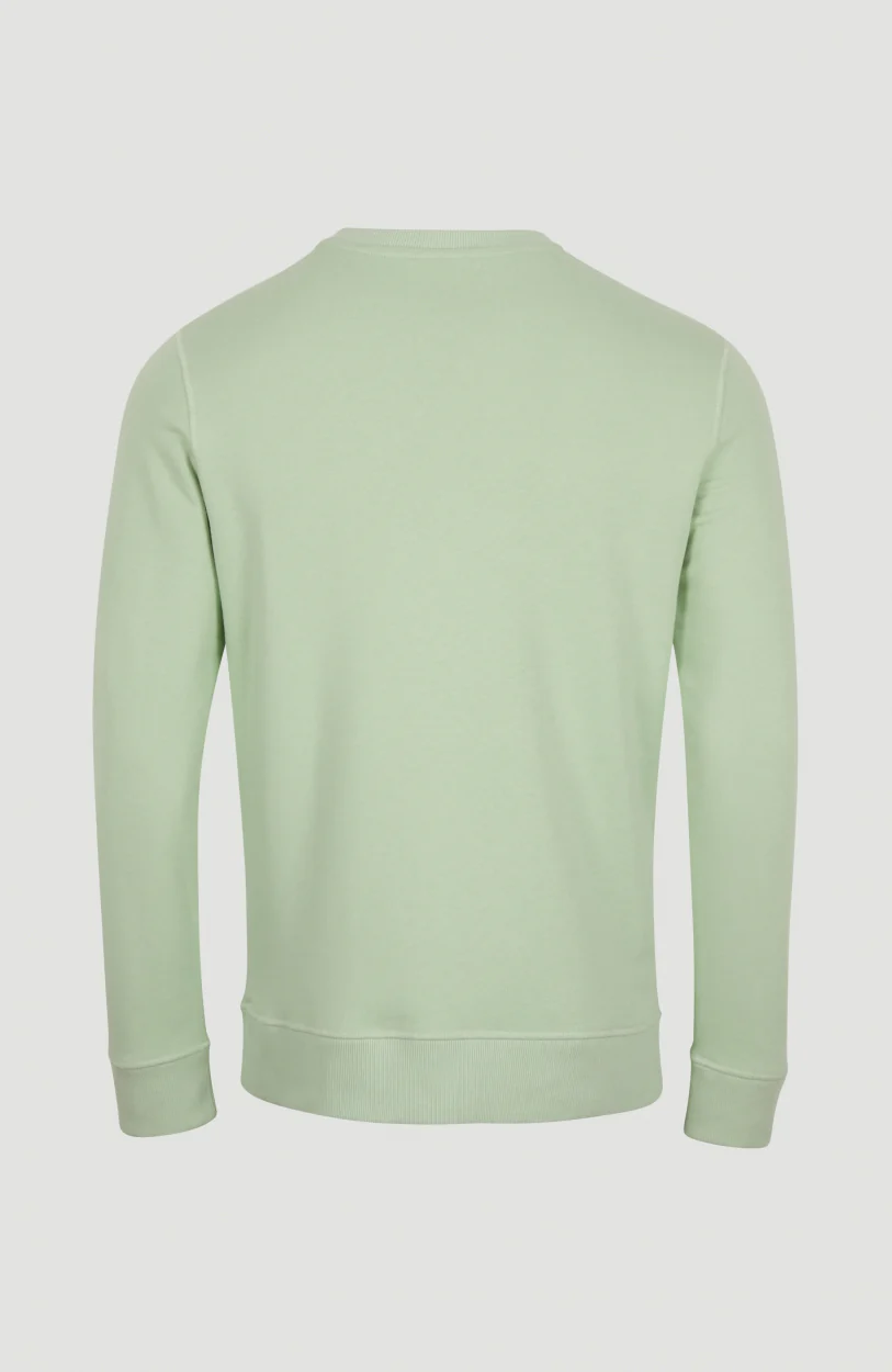 O'Neill Triple Stack Crew Sweatshirt | Sea Foam - Afbeelding 5