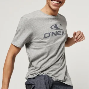 O'Neill Crew T-Shirt | Silver Melee -A