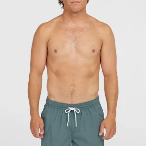 Zwemshort Vert 16'' | North Atlantic