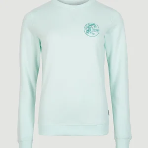 Circle Surfer Crew Sweatshirt | Soothing Sea