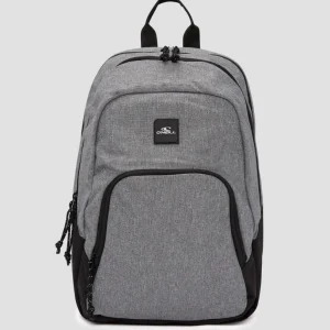 Wedge Small Rugzak | Silver Melee