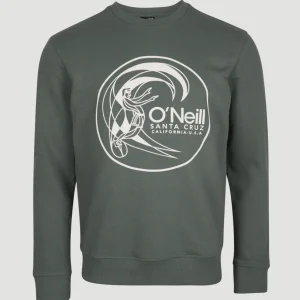 Circle Surfer Crew Sweatshirt | Balsam Green