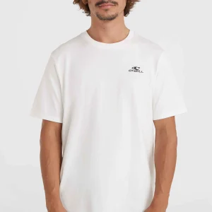 O'Neill Small Logo T-shirt | Snow White