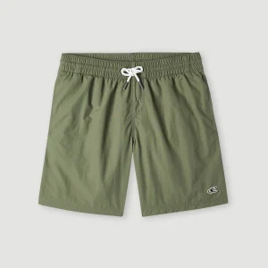 Zwemshort Vert 14 | Deep Lichen Green
